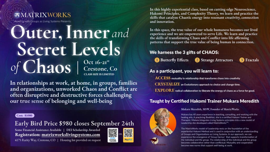 Text details of flier are in accordion below