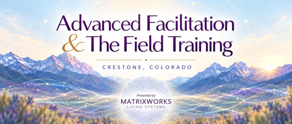 Advanced Facilitation & The Field Training — Crestone, Colorado